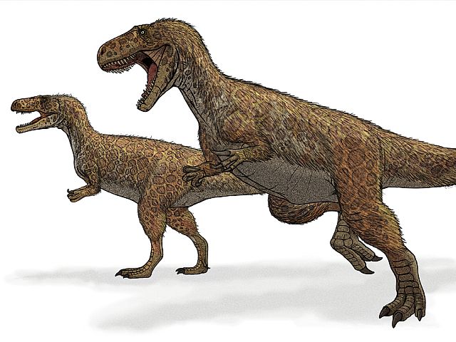Реконструкция мегалозавра (Megalosaurus)