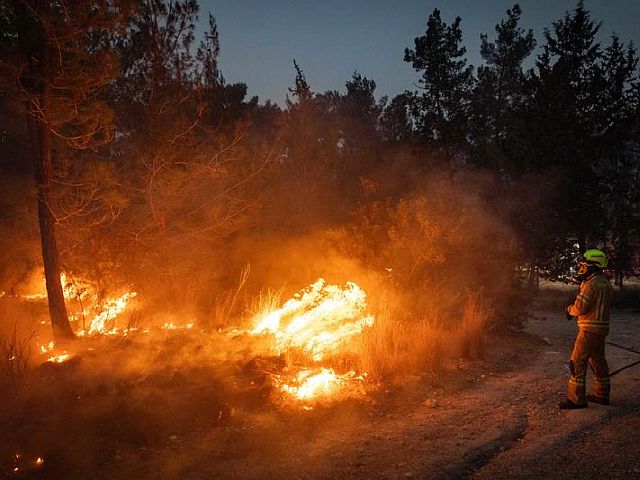 ККЛ: выгорело около 13 тысяч дунамов леса, в том числе парк Канада