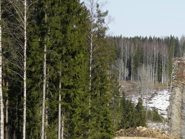 Авиакатастрофа в Финляндии: столкнулись два гражданских вертолета