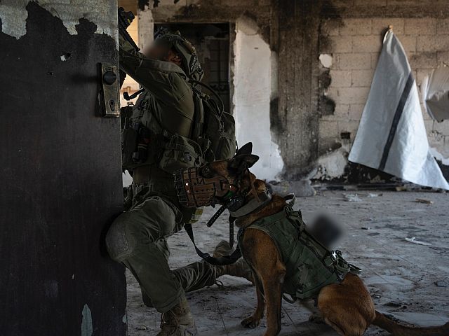 Бойцы "Гивати" ликвидировали группу боевиков в Джабалии