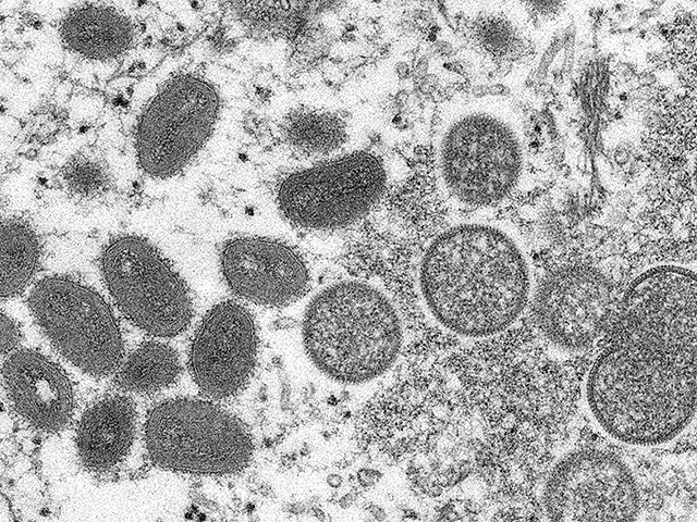 РНК-вирусы океана нарушают углеродный цикл планеты и влияют на климат Земли