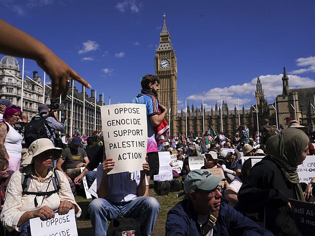 Протест в Лондоне в поддержку Palestine Action. Фоторепортаж
