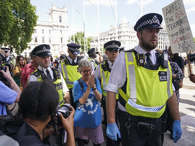Протест в Лондоне в поддержку Palestine Action. Фоторепортаж
