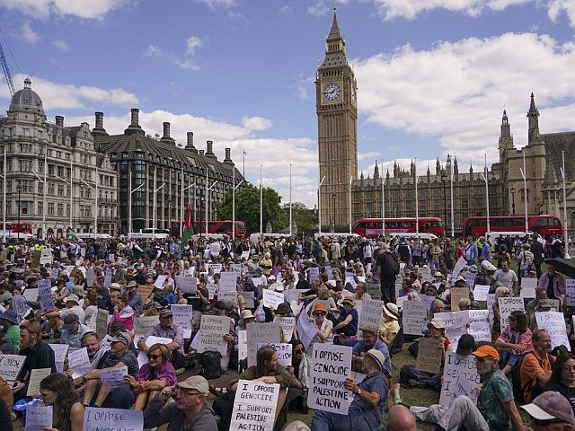 Протест в Лондоне в поддержку Palestine Action. Фоторепортаж
