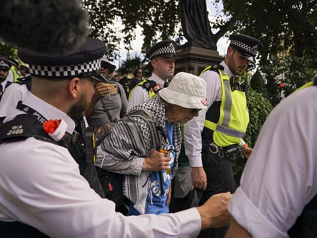 Протест в Лондоне в поддержку Palestine Action. Фоторепортаж
