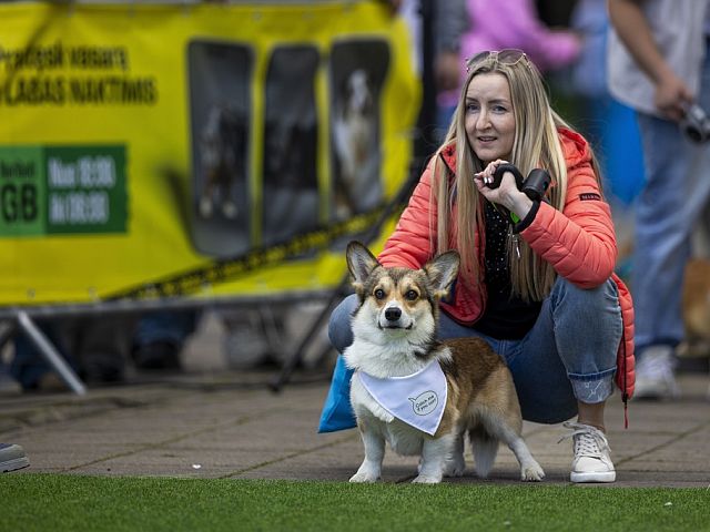 Гонки корги и парад мод. Фоторепортаж из Вильнюса
