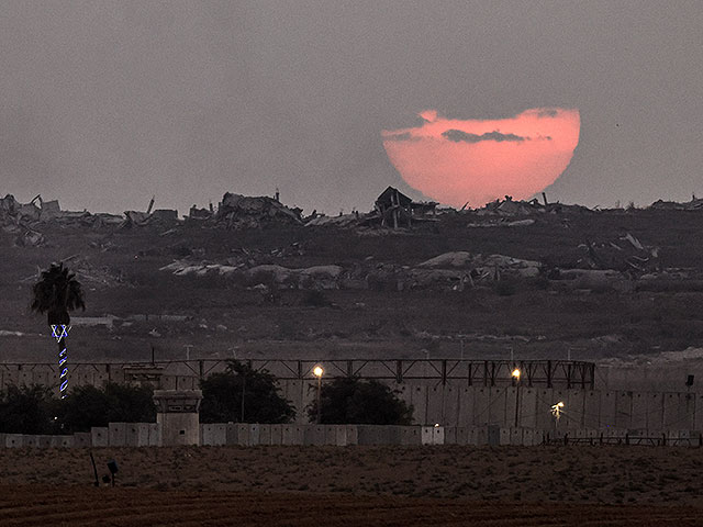2025 год