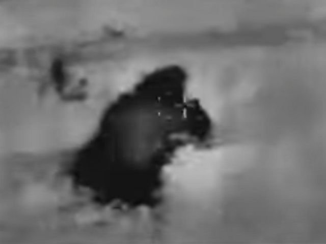 ЦАХАЛ: на юге Ливана был ликвидирован террорист "Хизбаллы"
