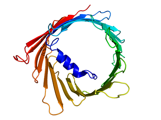 Исследователи впервые обнаружили молекулярный переключатель клеточной смерти