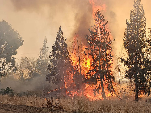 Возгорание растительности произошло возле мошава Тиморим