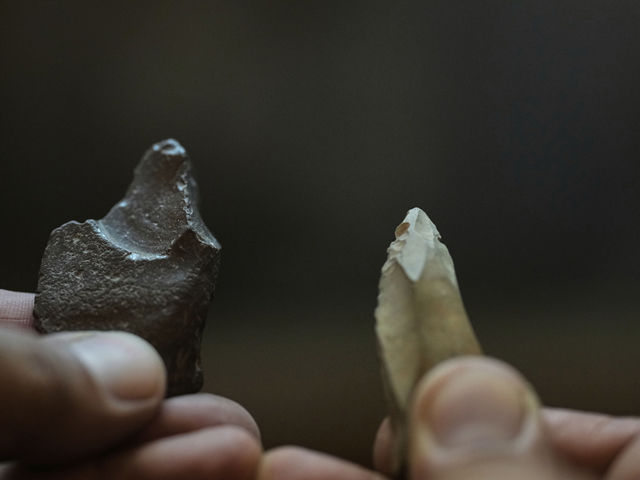 Первобытные люди передавали технологии изготовления орудий труда на протяжении 300 тысяч лет