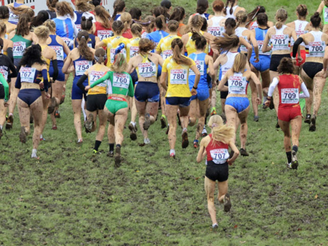 Балканский чемпионат по кроссу. Израильтянки завоевали бронзовую медаль