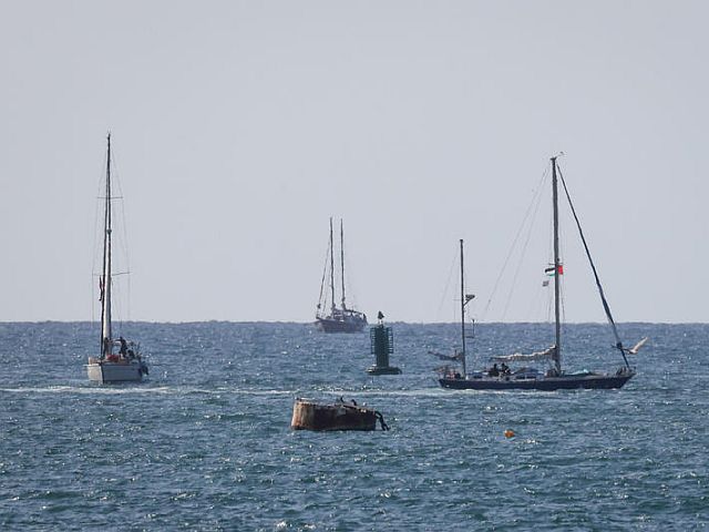 Прокуратура Израиля просит суд конфисковать 50 судов "флотилии Сумуда"