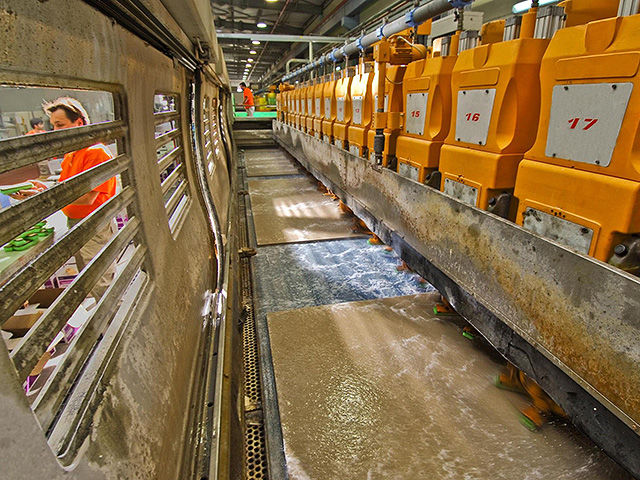 "Эвен Кейсар" закрывает последний завод в Израиле