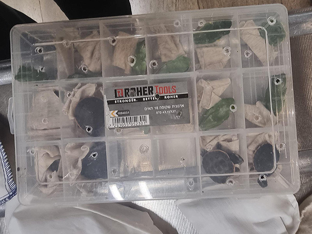 186 животных в чемодане: задержан вернувшийся из Таиланда турист