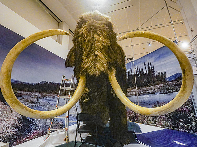 Из шерстистого мамонта выделена древнейшая в мире РНК