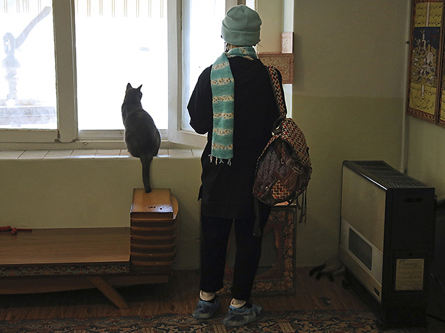 У животных все чаще развиваются те же хронические заболевания, что и у людей