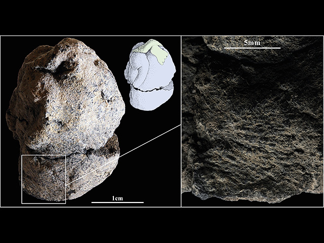 Отпечаток пальца автора глиняной фигурки
