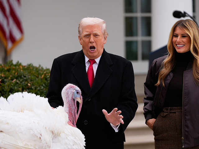 Трамп помиловал двух индеек в честь Дня благодарения