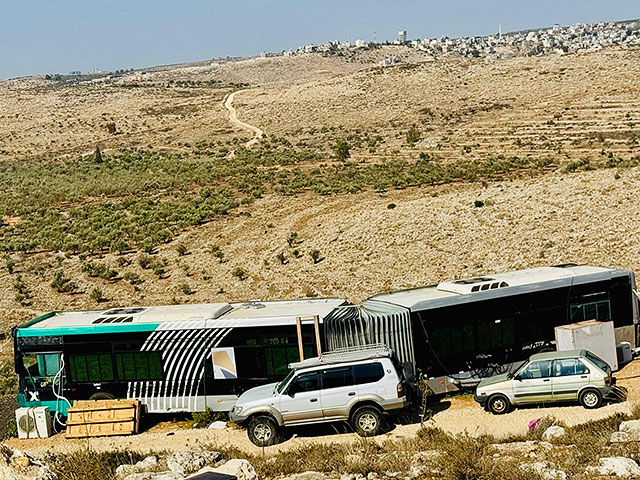 Место для народа Израиля. Интервью с Авишаг Тайри, хозяйкой фермы в Самарии