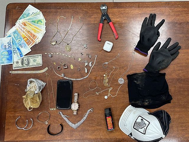 "Умные камеры" в квартире помогли задержать вора и вернуть похищенное