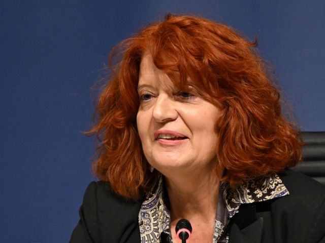 Арестованы еще пять подозреваемых в причастности к ограблению Лувра