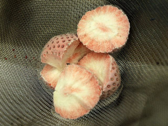 Минздрав Израиля объявил об отзыве замороженной клубники для сети "Рами Леви"