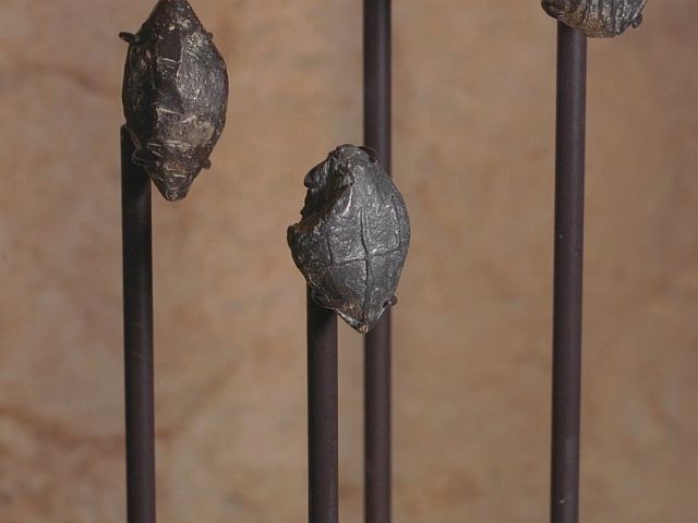 "Стена, которую невозможно пробить": в Иерусалиме раскопан памятник эпохи Хасмонеев