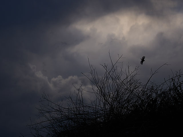Шторм "Байрон" в Израиле. Фоторепортаж