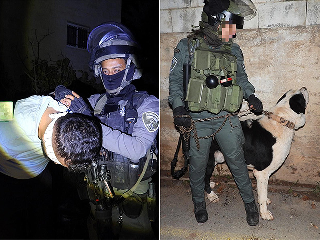 Арестован палестинец, укравший собаку-терапевта и вымогавший выкуп за нее