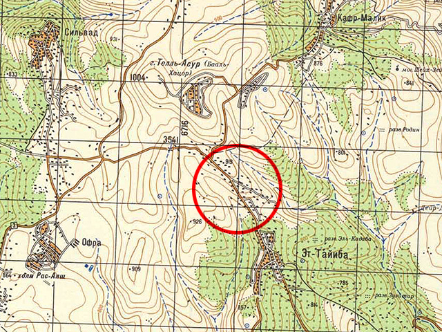 "Гаарец": вооруженный резервист совершил преднамеренный наезд на палестинца