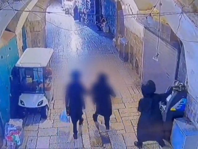 В Иерусалиме за издевательство над кошкой задержан 17-летний ультраортодокс
