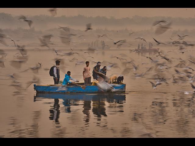 Утренняя кормежка перелетных птиц на берегу реки Ямуна в Нью-Дели, 2 ноября 2025 года