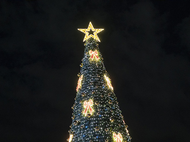 Администрация колледжа "Кей" распорядилась убрать новогоднюю елку, так как это "не еврейский символ"