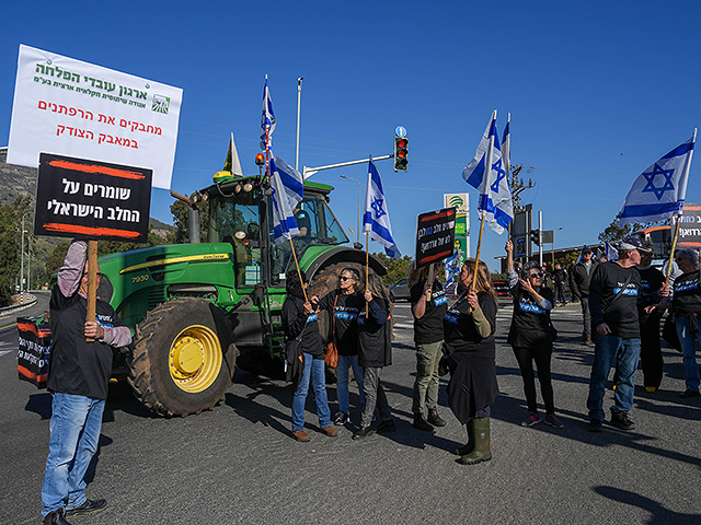 "Земля, текущая молоком": протест фермеров на севере Израиля. Фоторепортаж