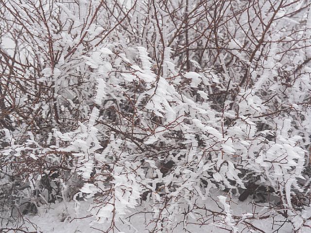 Снегопад на вершине Хермона, горный курорт закрыт