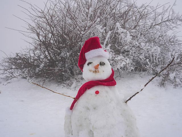 На склонах Хермона образовался снежный покров
