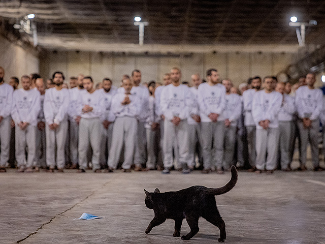 Законопроект о порядке суда над террористами "нухба" одобрен в первом чтении