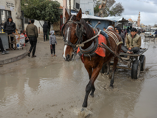Последствия зимнего шторма в Израиле и Газе. Фоторепортаж