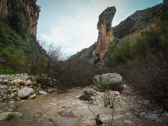 Последствия зимнего шторма в Израиле и Газе. Фоторепортаж