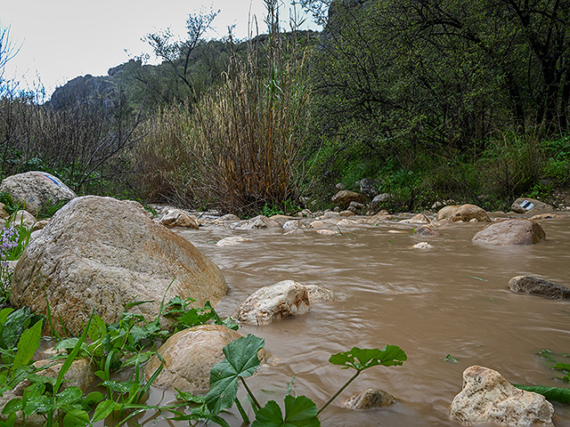 Последствия зимнего шторма в Израиле и Газе. Фоторепортаж