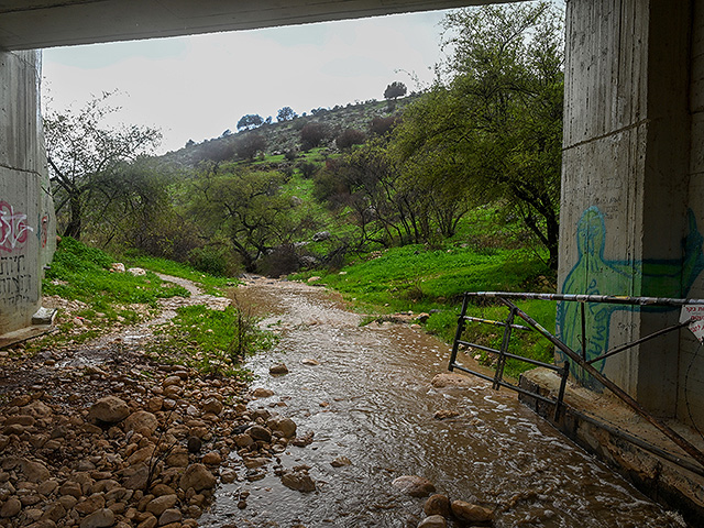 Последствия зимнего шторма в Израиле и Газе. Фоторепортаж