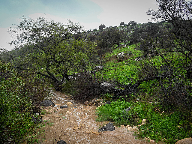 Последствия зимнего шторма в Израиле и Газе. Фоторепортаж
