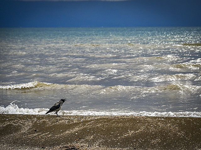 Последствия зимнего шторма в Израиле и Газе. Фоторепортаж