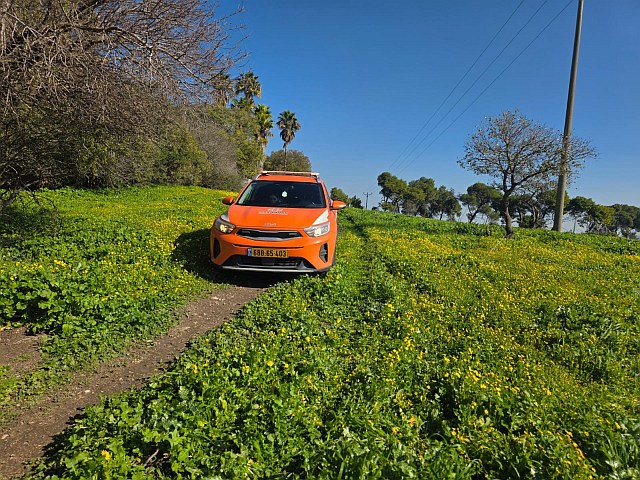 Велосипедист в тяжелом состоянии после аварии в Кирьят-Тивоне