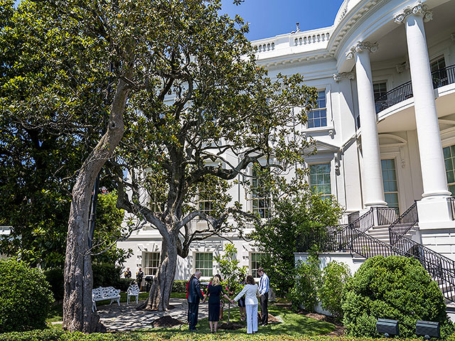 Источники в США: "Израиль знал о составе комиссий по управлению Газой"