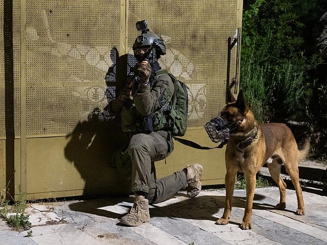 844-й день войны: действия в Газе и Ливане, операции в Иудее и Самарии
