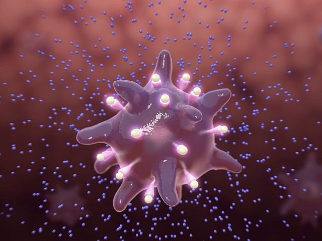 Ученые рассказали, как наследственность и воспитание формируют наши иммунные клетки