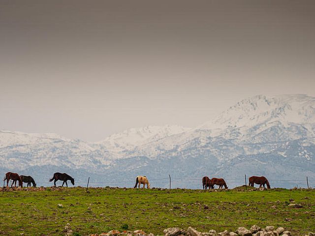 Хермон открыт для посетителей, но горнолыжный сезон еще не начался
