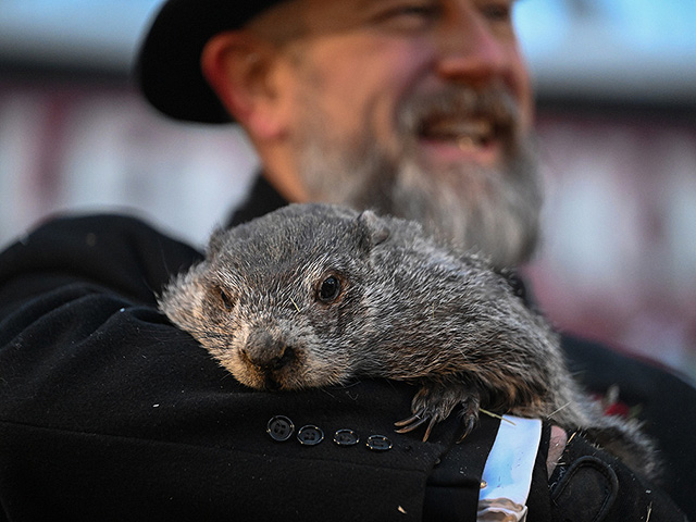 "День сурка" в Пенсильвании: мохнатому синоптику – 185. Фоторепортаж